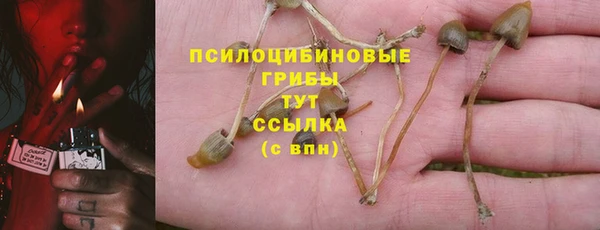 прущая мука Тутаев